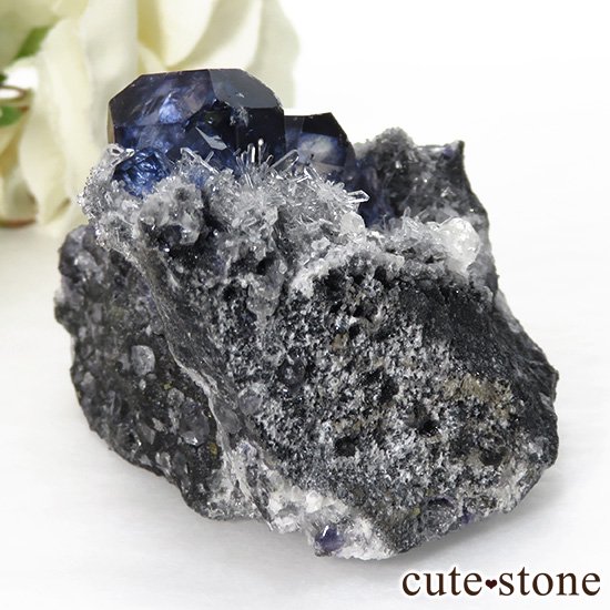  ʡʻѡץ֥롼ե饤Ȥη뾽ʸС 59.7gμ̿0 cute stone