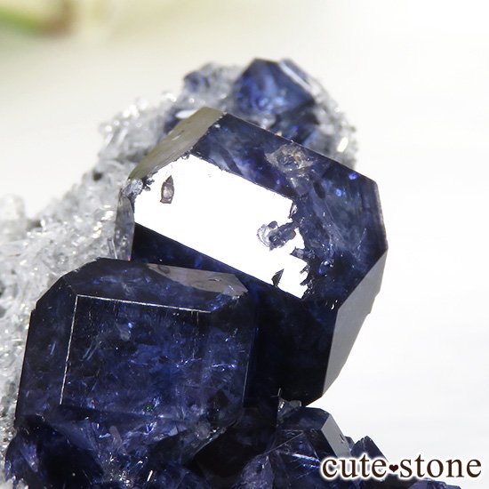  ʡʻѡץ֥롼ե饤Ȥη뾽ʸС 59.7gμ̿3 cute stone