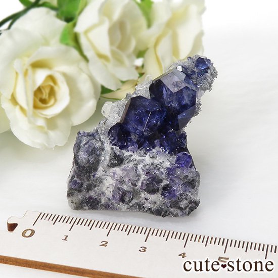  ʡʻѡץ֥롼ե饤Ȥη뾽ʸС 59.7gμ̿6 cute stone