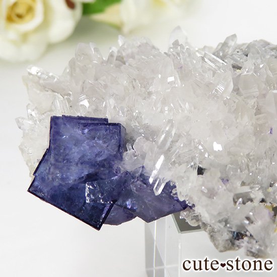  ʻ ե饤ȡĤζɸܡʸС98gμ̿0 cute stone
