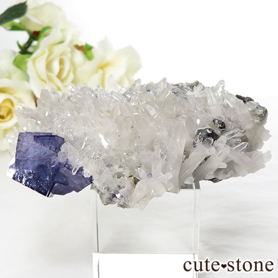  ʻ ե饤ȡĤζɸܡʸС98gμ̿1 cute stone