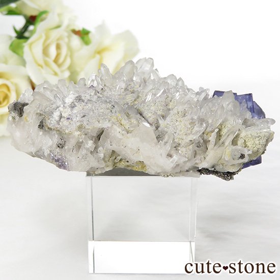  ʻ ե饤ȡĤζɸܡʸС98gμ̿2 cute stone