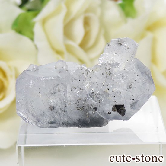 䥪󥷥 ե饤() ѥ饤ȤθСɸܡ 7.6gμ̿0 cute stone