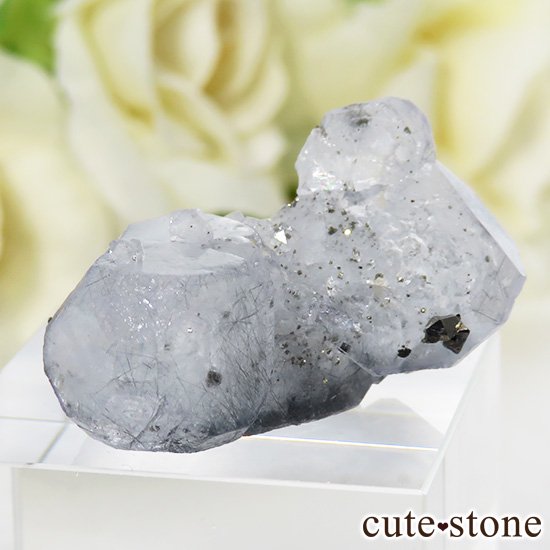 䥪󥷥 ե饤() ѥ饤ȤθСɸܡ 7.6gμ̿1 cute stone