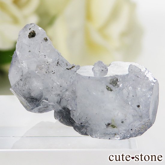 䥪󥷥 ե饤() ѥ饤ȤθСɸܡ 7.6gμ̿2 cute stone