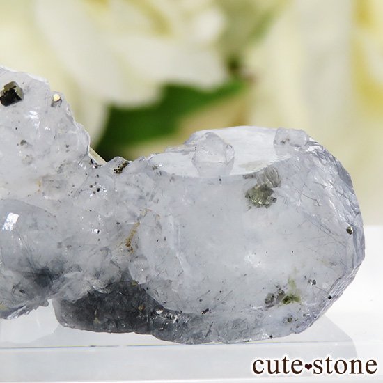 䥪󥷥 ե饤() ѥ饤ȤθСɸܡ 7.6gμ̿3 cute stone