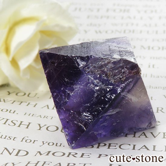 Υ Cave-in-Rock ָȬΡʤؤ뾽˥륤ե饤ȡʷС50.5g μ̿1 cute stone