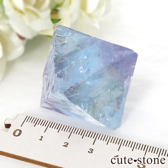 Υ Cave-in-Rock ȬΡʤؤ뾽˷ָե饤ȡʷС64g μ̿3 cute stone