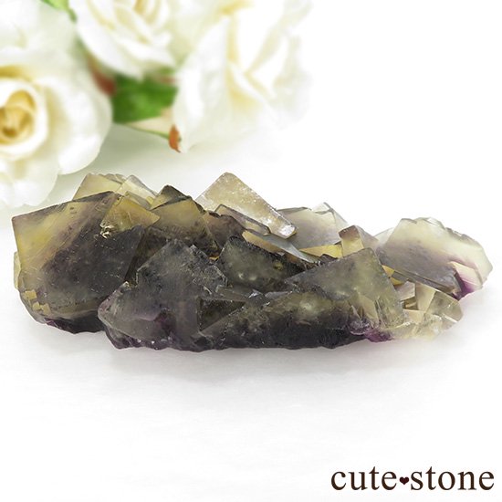 ʥߥӥ Okorusu Mineߥѡץե饤Ȥθ 96.2gμ̿0 cute stone
