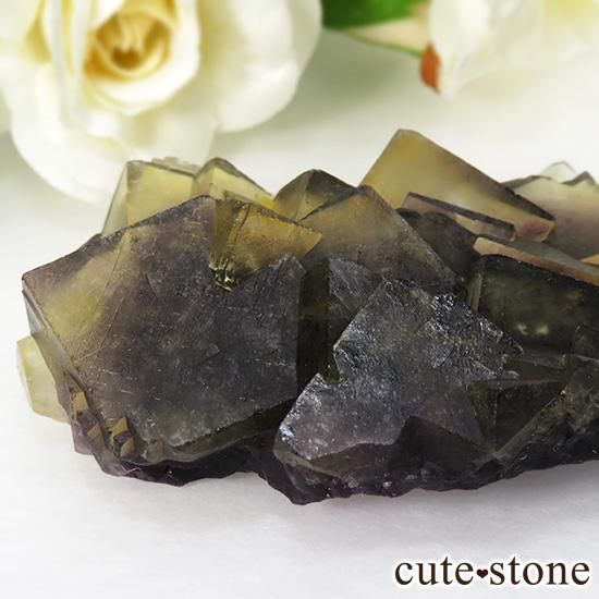 ʥߥӥ Okorusu Mineߥѡץե饤Ȥθ 96.2gμ̿1 cute stone