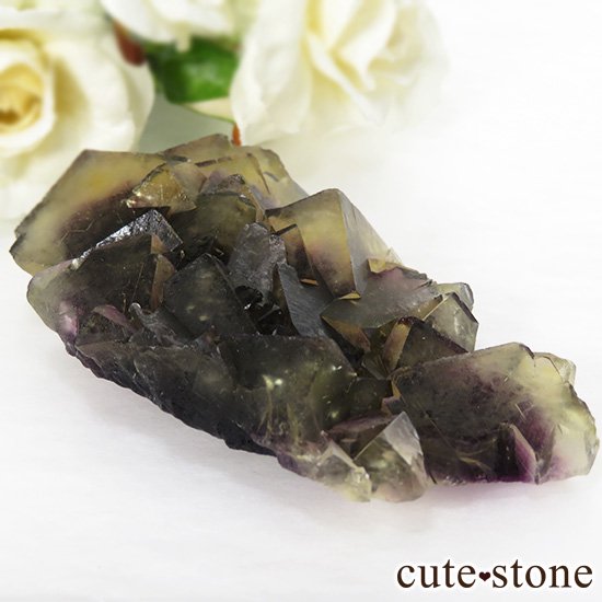 ʥߥӥ Okorusu Mineߥѡץե饤Ȥθ 96.2gμ̿3 cute stone
