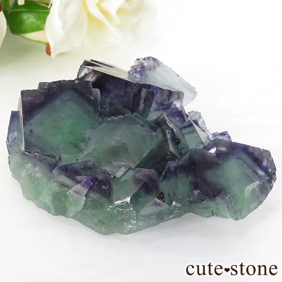 ʥߥӥ Okorusu Mine֥롼ߥ꡼ե饤Ȥθ 96.1gμ̿0 cute stone