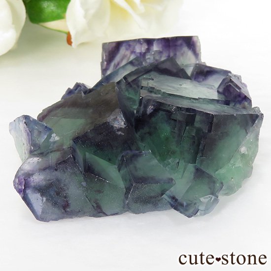 ʥߥӥ Okorusu Mine֥롼ߥ꡼ե饤Ȥθ 96.1gμ̿1 cute stone