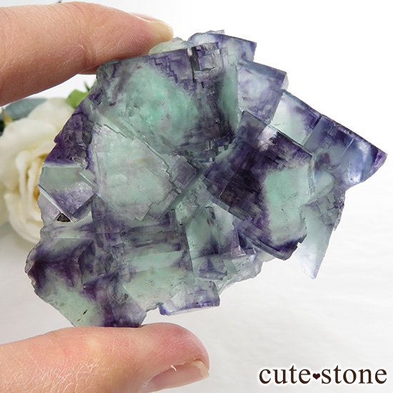 ʥߥӥ Okorusu Mine֥롼ߥ꡼ե饤Ȥθ 96.1gμ̿2 cute stone