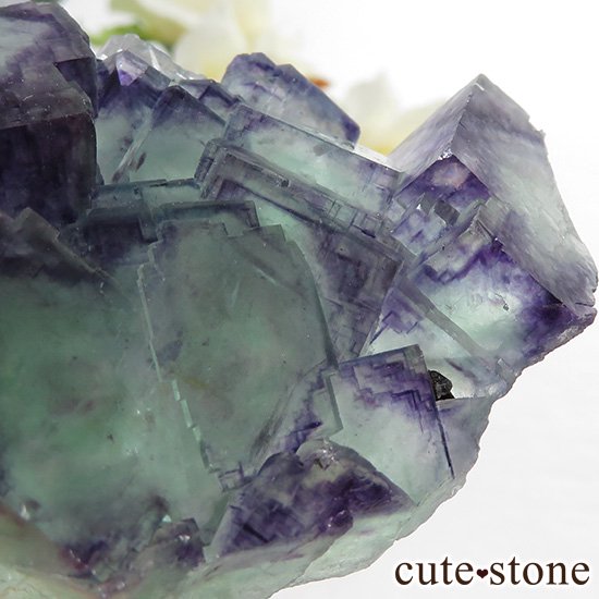 ʥߥӥ Okorusu Mine֥롼ߥ꡼ե饤Ȥθ 96.1gμ̿4 cute stone
