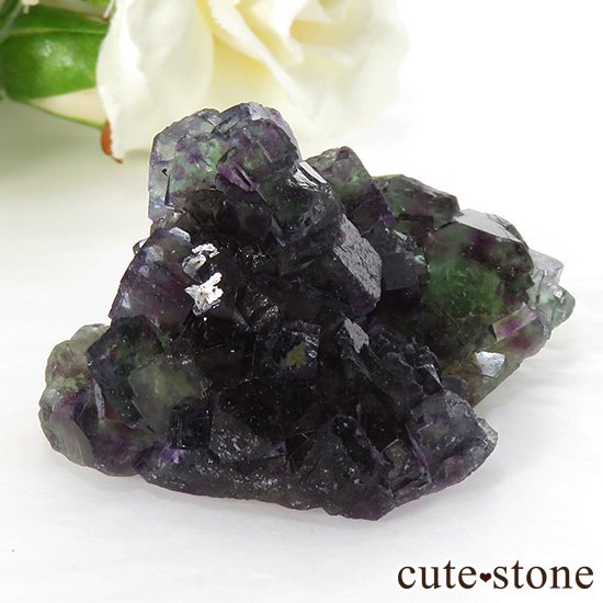 ʥߥӥ Okorusu Mine꡼ߥѡץߥ֥롼ե饤Ȥθ 46.4gμ̿0 cute stone