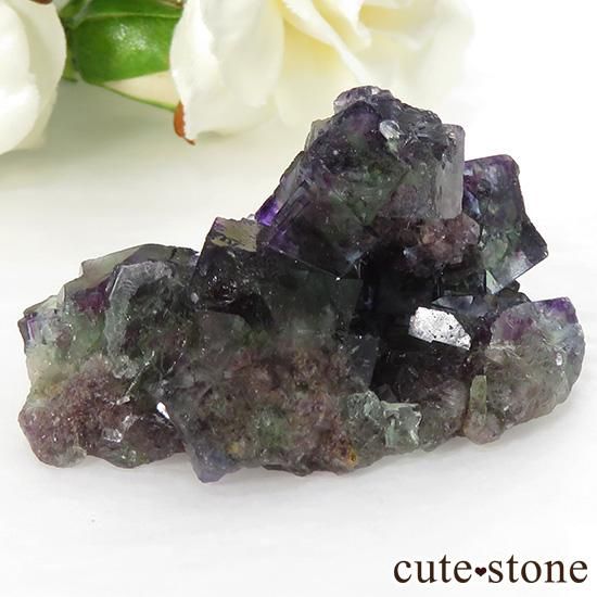 ナミビア Okorusu Mine産グリーン×パープル×ブルーフローライトの原石 46.4gの写真1 cute stone