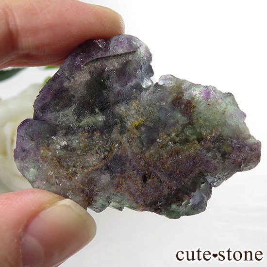 ʥߥӥ Okorusu Mine꡼ߥѡץߥ֥롼ե饤Ȥθ 46.4gμ̿4 cute stone