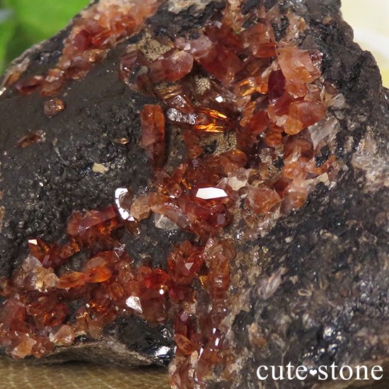 鉱物標本】ロードクロサイト 犬牙状 原石 ペルー産-