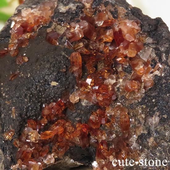 ڥ롼 ɥȡʥ󥫥ˤդ뾽ʸС 66.8gμ̿0 cute stone