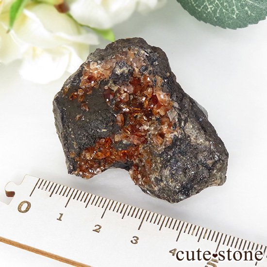 ڥ롼 ɥȡʥ󥫥ˤդ뾽ʸС 66.8gμ̿5 cute stone