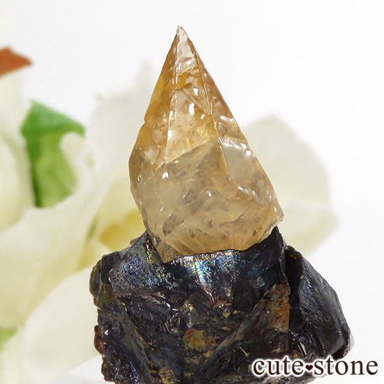 ०åɹۻ ƥӡ५륵ȥ󥹥ե饤 8.1gμ̿0 cute stone