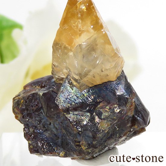 ०åɹۻ ƥӡ५륵ȥ󥹥ե饤 8.1gμ̿1 cute stone