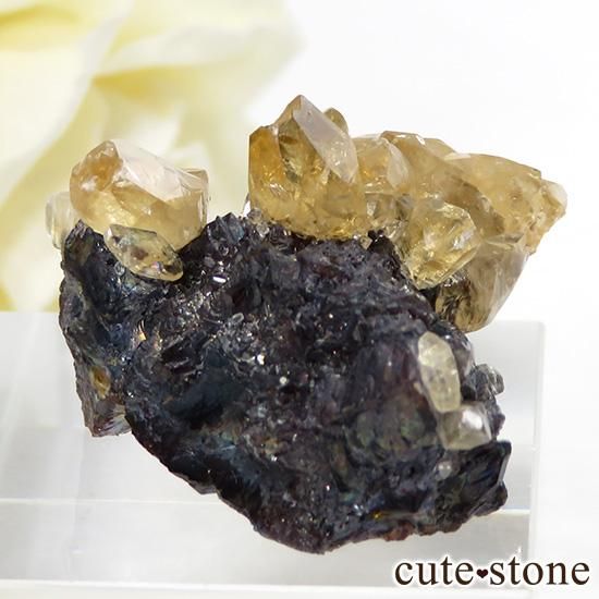 ०åɹۻ ƥӡ५륵ȥ󥹥ե饤 12.9gμ̿1 cute stone