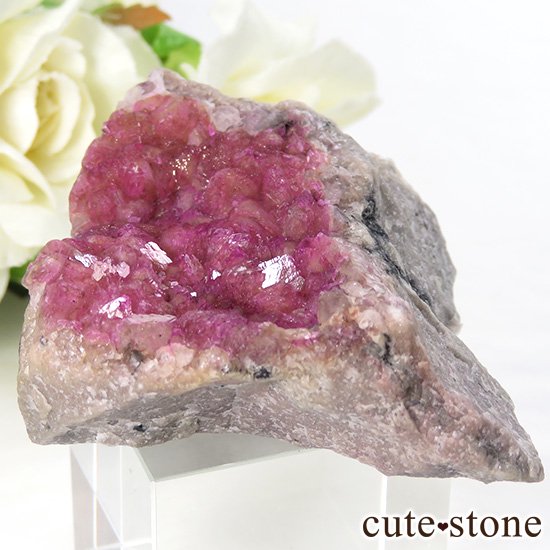 󥴻 Хȥ륵ȤΥ饹ʸС52.9gμ̿0 cute stone