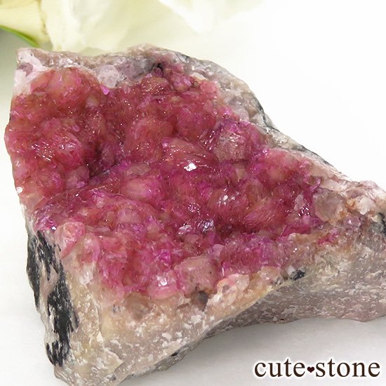 󥴻 Хȥ륵ȤΥ饹ʸС52.9gμ̿1 cute stone