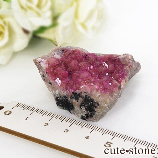 󥴻 Хȥ륵ȤΥ饹ʸС52.9gμ̿4 cute stone