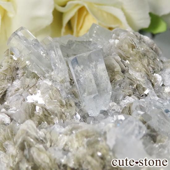 ѥ ޥθ(饹)120gμ̿1 cute stone