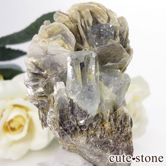 ѥ ޥθ 76.9gμ̿0 cute stone