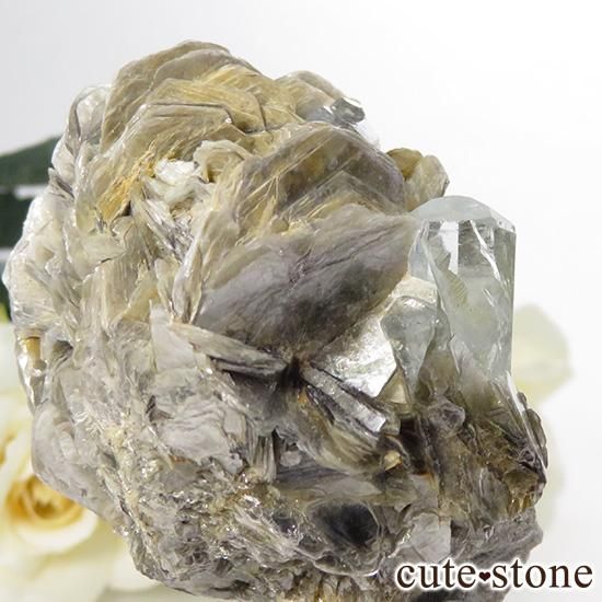 ѥ ޥθ 76.9gμ̿1 cute stone