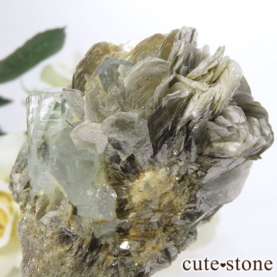ѥ ޥθ 76.9gμ̿2 cute stone
