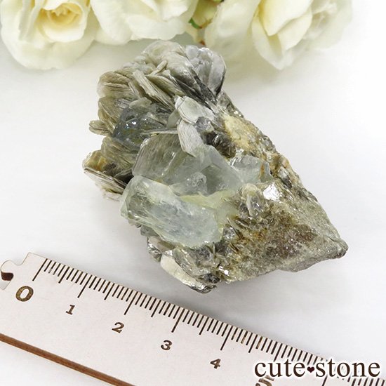 ѥ ޥθ 76.9gμ̿6 cute stone