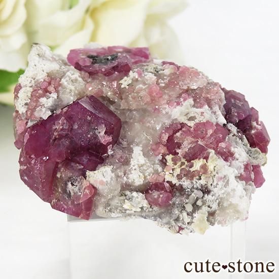 饺٥꡼ͥåȡʳСˤθСʹʪɸܡ43g