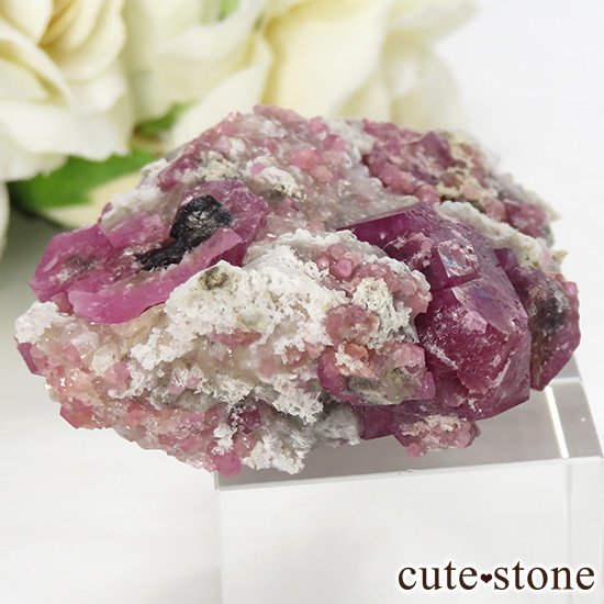 饺٥꡼ͥåȡʳСˤθСʹʪɸܡ43gμ̿0 cute stone