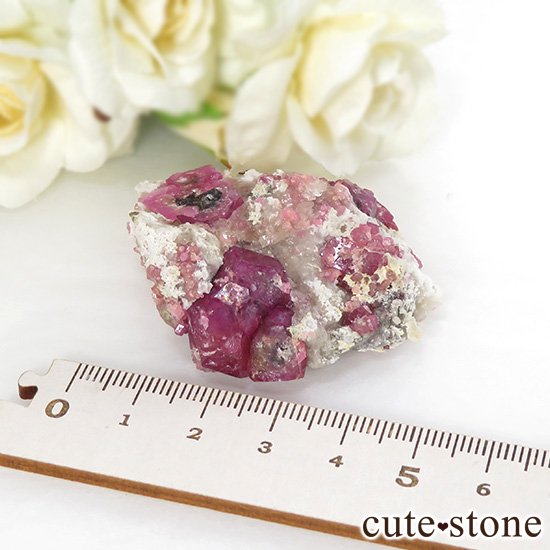 饺٥꡼ͥåȡʳСˤθСʹʪɸܡ43gμ̿3 cute stone