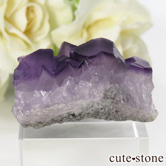 ʻ ѡץե饤Ȥη뾽ʸС 18.6gμ̿0 cute stone