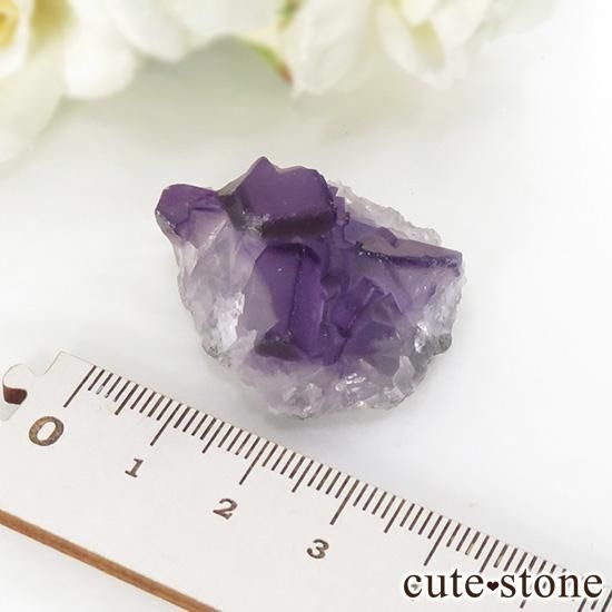  ʻ ѡץե饤Ȥη뾽ʸС 18.6gμ̿1 cute stone