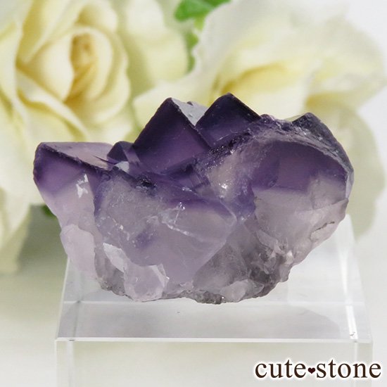  ʻ ѡץե饤Ȥη뾽ʸС 14.6gμ̿0 cute stone