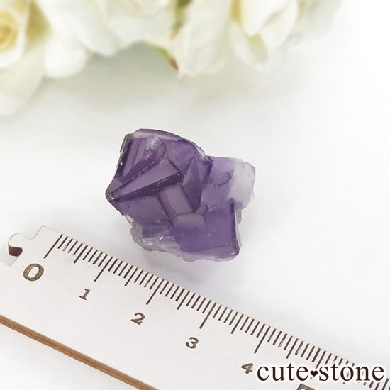  ʻ ѡץե饤Ȥη뾽ʸС 14.6gμ̿1 cute stone