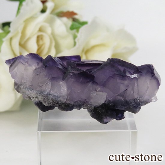  ʻ ѡץե饤Ȥη뾽ʸС 24.3gμ̿0 cute stone