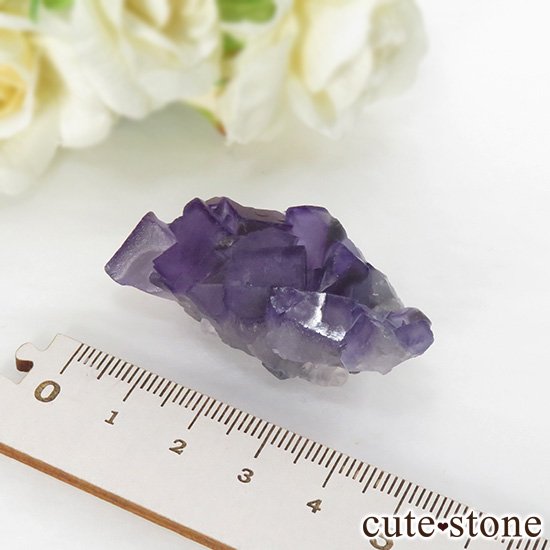  ʻ ѡץե饤Ȥη뾽ʸС 24.3gμ̿1 cute stone