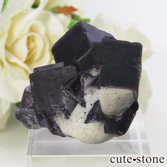  ʻ ѡץե饤Ȥη뾽ʸС 26.6gμ̿0 cute stone