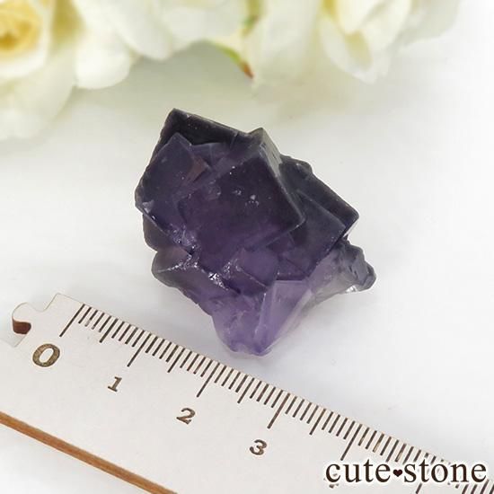  ʻ ѡץե饤Ȥη뾽ʸС 26.6gμ̿1 cute stone