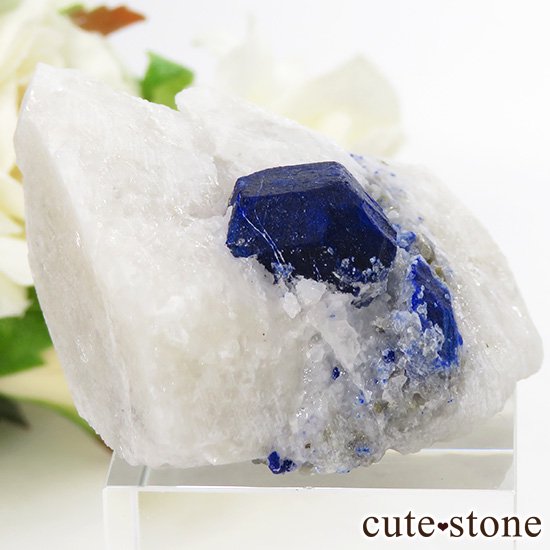 饺饤Ȥդ 39.9gμ̿0 cute stone