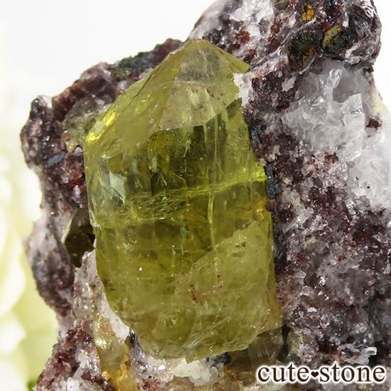 ᥭ ե륪ѥȤդ뾽ʸС45gμ̿1 cute stone