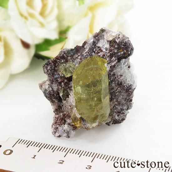 ᥭ ե륪ѥȤդ뾽ʸС45gμ̿3 cute stone